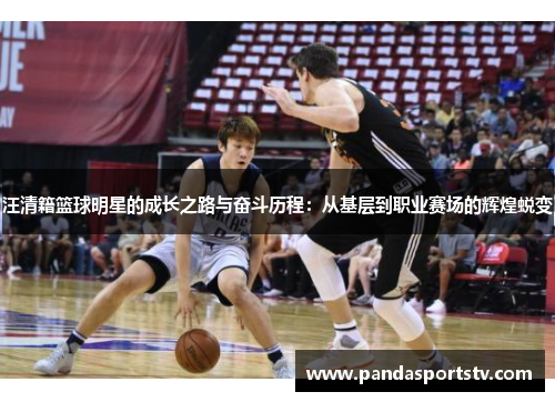 汪清籍篮球明星的成长之路与奋斗历程：从基层到职业赛场的辉煌蜕变